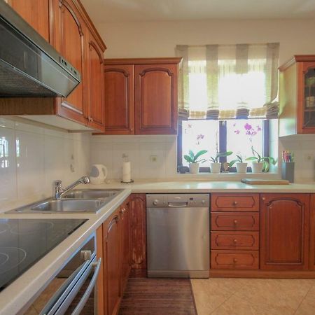 Novigrad Istria Apartment Sanja מראה חיצוני תמונה